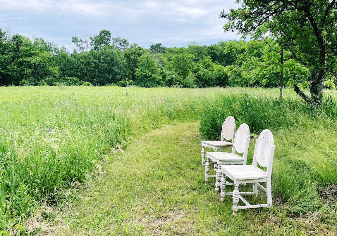 Field